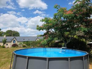 a large blue pool in a yard with a tree at Chalet Ty Kerouannec in Guilligomarcʼh