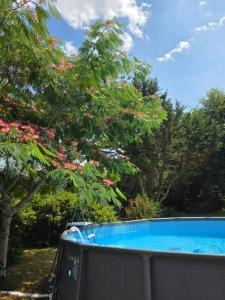 a swimming pool next to a tree with pink flowers at Chalet Ty Kerouannec in Guilligomarcʼh +14 photos