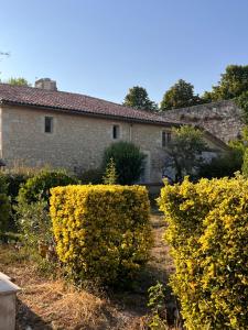 a stone house with yellow bushes in front of it at Le CRAMPOT in Lectoure