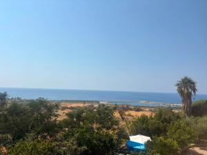 a view of the ocean and a palm tree at L'Incanto del mare GC in Saline Joniche