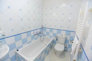 a blue and white bathroom with a tub and a toilet at Hotel Paříž in Jičín
