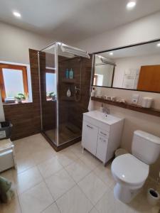 a bathroom with a shower and a toilet and a sink at Chata Monika Veľké Pole in Veľké Pole +16 photos