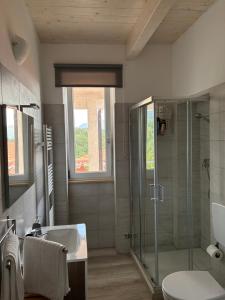 a bathroom with a shower and a sink and a toilet at B & B Sotto al lago in Nemoli