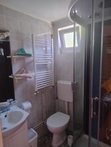 a bathroom with a toilet and a sink and a shower at Casa Riciu in Buşteni +12 photos
