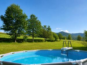 a swimming pool with a chair in a field at Садиба для відпочинку in Vyshka