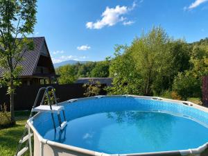 a large swimming pool in a yard with at Садиба для відпочинку in Vyshka