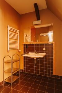 a bathroom with a sink and a mirror at Villa Pepita in Miedzygorze +133 photos