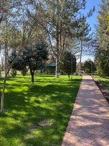 a walkway in a park with trees and grass at Chotqol Sanatorium in G‘azalkent