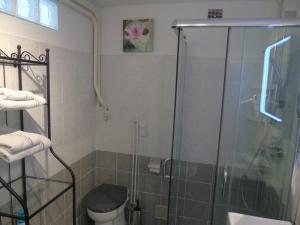 a bathroom with a glass shower with a toilet at Gîte du Manival in Saint-Ismier +50 photos