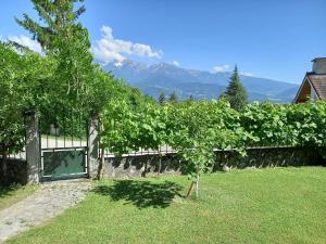 a vineyard with a fence and a bunch of grapes at Gîte du Manival in Saint-Ismier