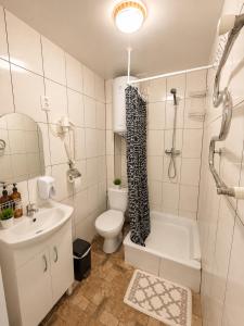 a bathroom with a toilet and a sink and a shower at Family ЛюКс in Kamianets-Podilskyi +29 photos