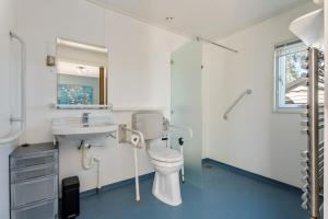 a bathroom with a toilet and a sink and a mirror at Luwte aan het Lauwersmeer, Friesland in Anjum
