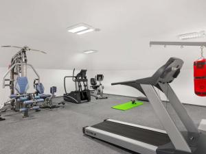 a gym with treadmills and machines in a room at Mercure Szekesfehervar Magyar Kiraly in Székesfehérvár