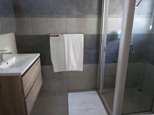 a bathroom with a shower and a sink at Beachfront villa by M&H in Tamarin
