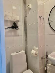 a bathroom with a shower with a toilet and a sink at Katas Suite, Helsinki city center in Helsinki