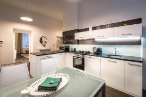 Kuchyňa alebo kuchynka v ubytovaní Luxury Modern Designed Oldtown Apartment