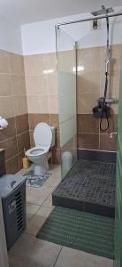 a bathroom with a toilet and a glass shower at À la brise marine in Saint-Benoît +2 photos