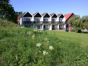 a house on a hill with a field of grass at Hotel & Apartmenthaus Zum Pfingsttor in Friedrichswald