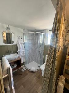 a bathroom with a shower and a toilet and a sink at Cabin on the Moors in Llansannan +22 photos