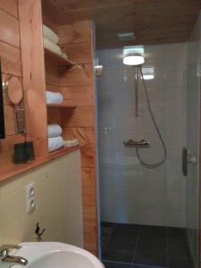 a bathroom with a shower and a toilet and a sink at B&B De Luttikhoeve in Giethmen