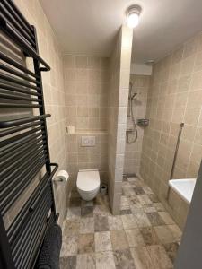 a bathroom with a toilet and a sink and a shower at Ruim sfeervol appartement naast wijndomein in Vijlen, Zuid-Limburg in Vijlen +21 photos