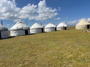 a group of white tents in a field at Kambar-ata yurt camp in Song-Kul
