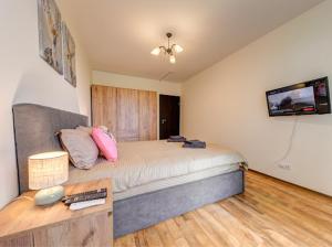 a bedroom with a bed and a tv on the wall at Apartment Kapina in Pamporovo +4 photos