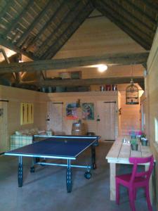 una mesa de ping pong en una habitación con una pelota de ping pong en B&B De Luttikhoeve, en Giethmen