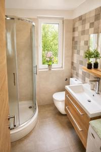 a bathroom with a shower and a toilet and a sink at Casa Ondina - Private House with Jacuzzi & Big Garden in Central Istria in Šumber +40 photos