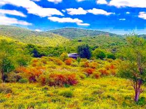 a field full of trees with mountains in the background at Kamiare in San Esteban