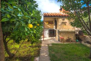 Zahrada ubytování Apartments Cvita Sučić