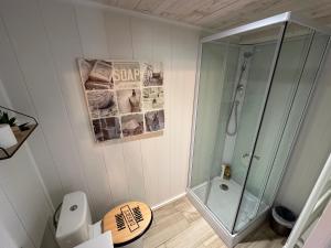 a bathroom with a shower and a glass shower stall at CozyCocoon Appartement in Parcey +12 photos