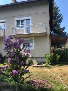 a house with purple flowers in front of it at Smještaj Klekovača in Drvar