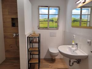 a bathroom with a sink and a toilet and two windows at Neues 2 Zimmer Schmuckstück in Ergetsweiler +2 photos