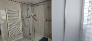 a shower with a glass door in a bathroom at Le Petit Nid de Mombrier in Mombrier