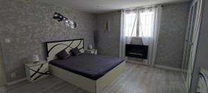 a bedroom with a bed and a television in it at Le Petit Nid de Mombrier in Mombrier
