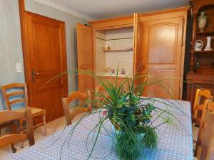 a dining room table with a potted plant on it at Chambres vertes in Bouchamps-lès-Craon