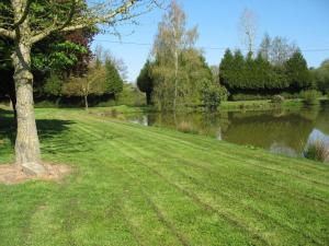 a tree in the grass next to a river at Chambres vertes in Bouchamps-lès-Craon