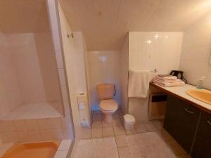 a bathroom with a shower and a toilet and a sink at Chambres vertes in Bouchamps-lès-Craon