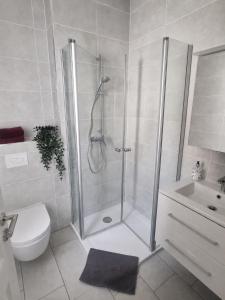 a bathroom with a shower and a toilet and a sink at Haus Wiesenblick in Königs Wusterhausen