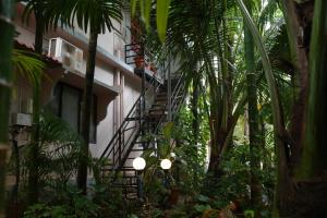 a stairway leading to a building with palm trees at Fraydel Homestay in Honāvar