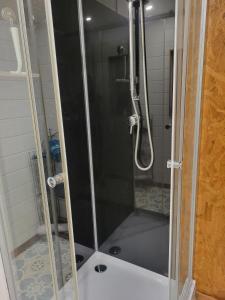 a shower with a glass door in a bathroom at roulotte en bois in Ranton +9 photos