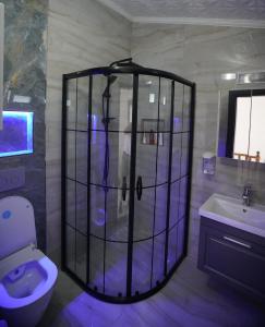 a bathroom with a shower with a toilet and a sink at EYLA VİLLA in Trabzon +12 photos