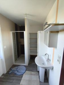 a small bathroom with a sink and a shower at Maison Relax in Flers