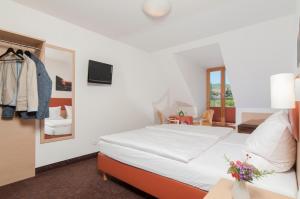 a hotel room with a bed and a television at Pension Weingut Schwab in Thüngersheim +12 photos