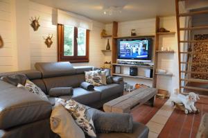ein Wohnzimmer mit einem Sofa und einem TV in der Unterkunft Au Nid d'Houyet in Hour
