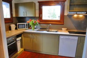 eine Küche mit einer Spüle und einer Mikrowelle in der Unterkunft Au Nid d'Houyet in Hour