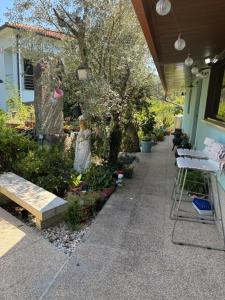 a porch of a house with a bench and plants at SENRa in Marco de Canaveses +1 photo