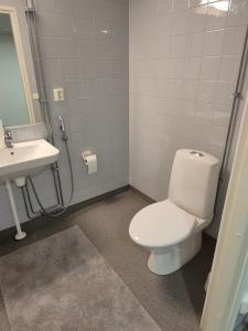 a bathroom with a toilet and a sink at Koivutie Best rooms in Ranua