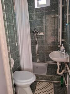 a bathroom with a toilet and a sink at Casa Vintage 27 in Râşnov